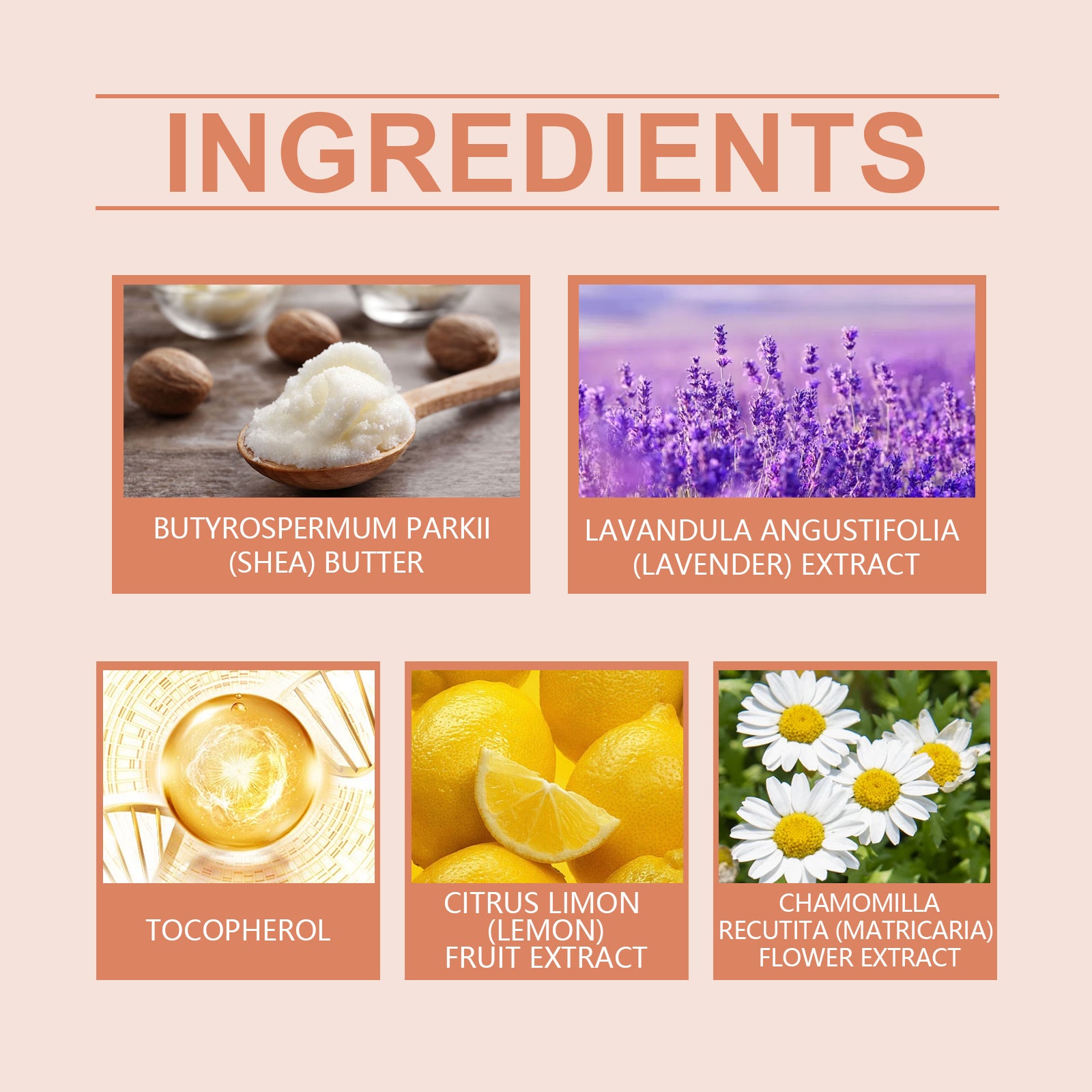 WoodSleep Lavender And Chamomile Body Butter Moisturizer Deeply Hydrates And Moisturizes All Over The Skin